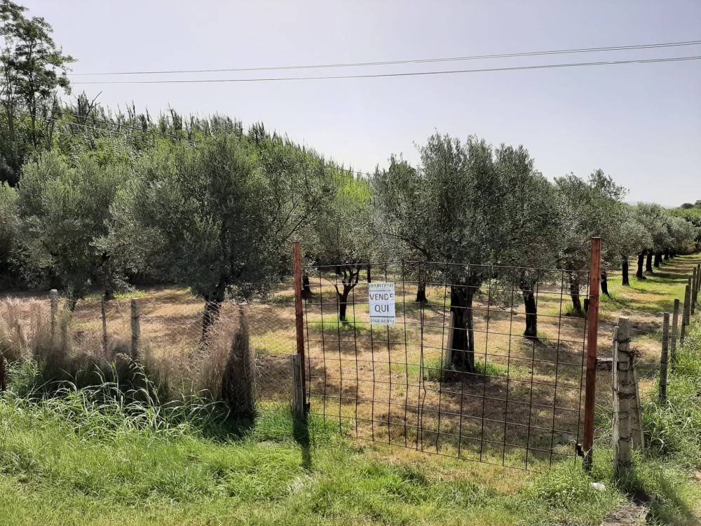 Terreno a Lamezia terme in Località Scalfa - Foto 2