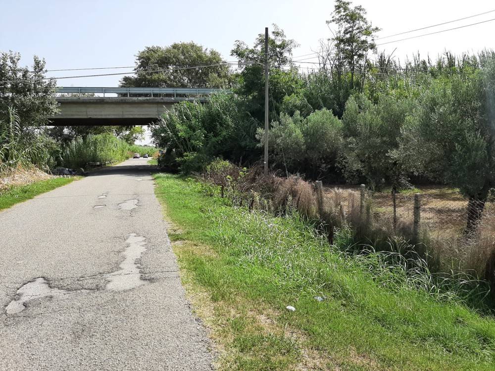 Terreno a Lamezia terme in Località Scalfa - Foto 4