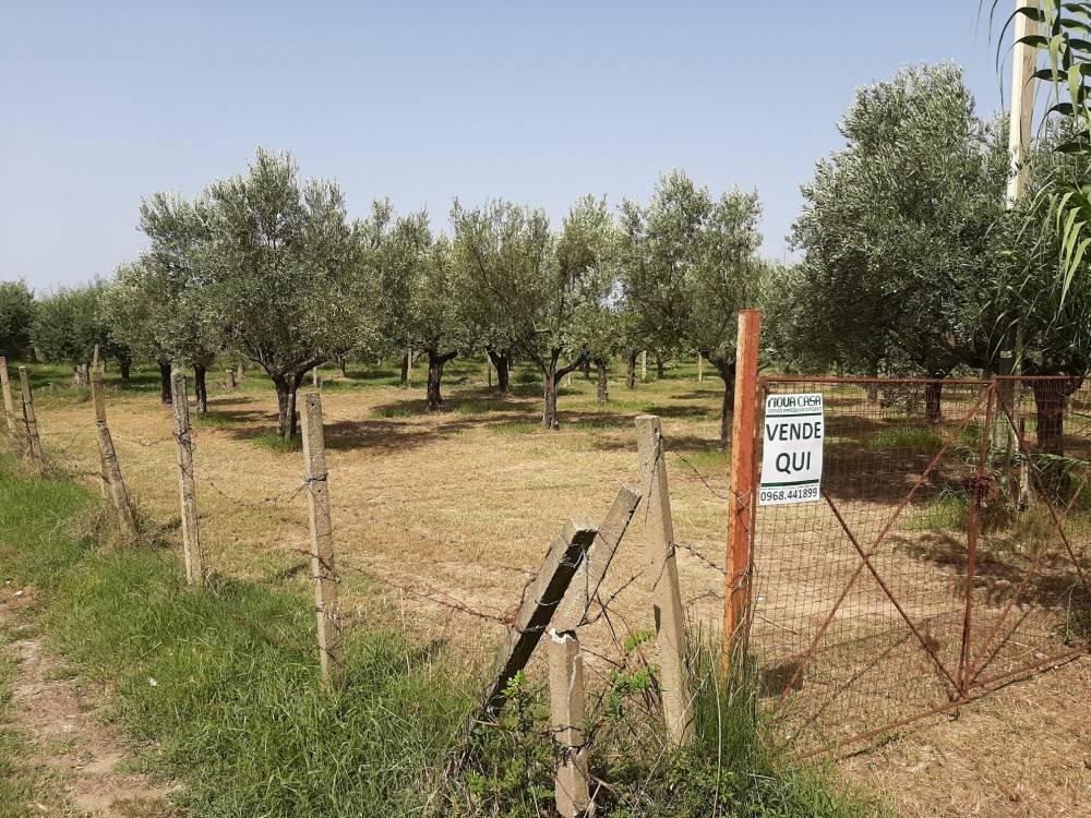 Terreno a Lamezia terme in Località Scalfa - Foto 2
