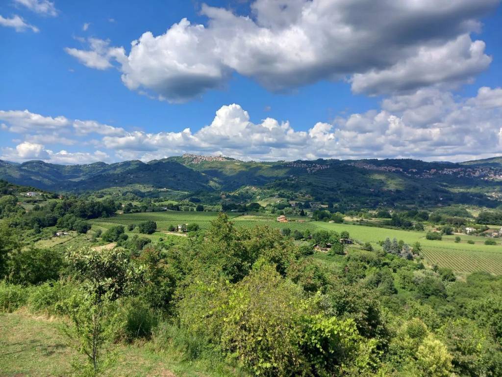 Villa a Olevano romano in Località Cascaglione S.N.C. - Foto 5