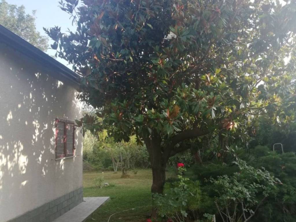 Villa a Albenga - Foto 3