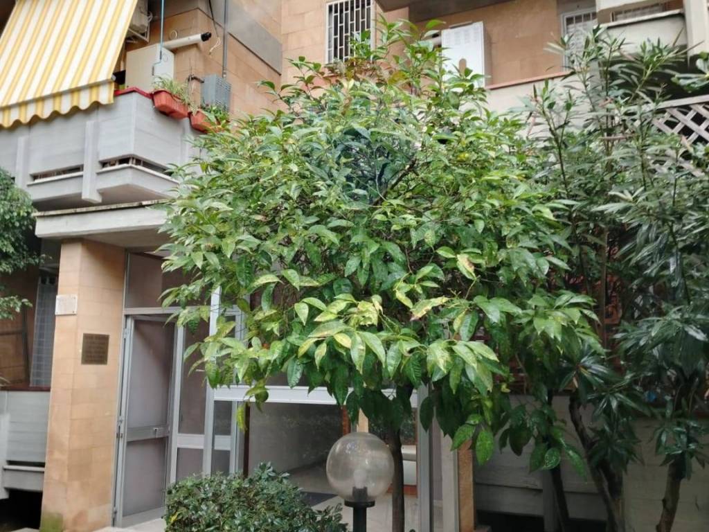 Appartamento a Gela in VIA PITAGORA, 2 - Foto 4