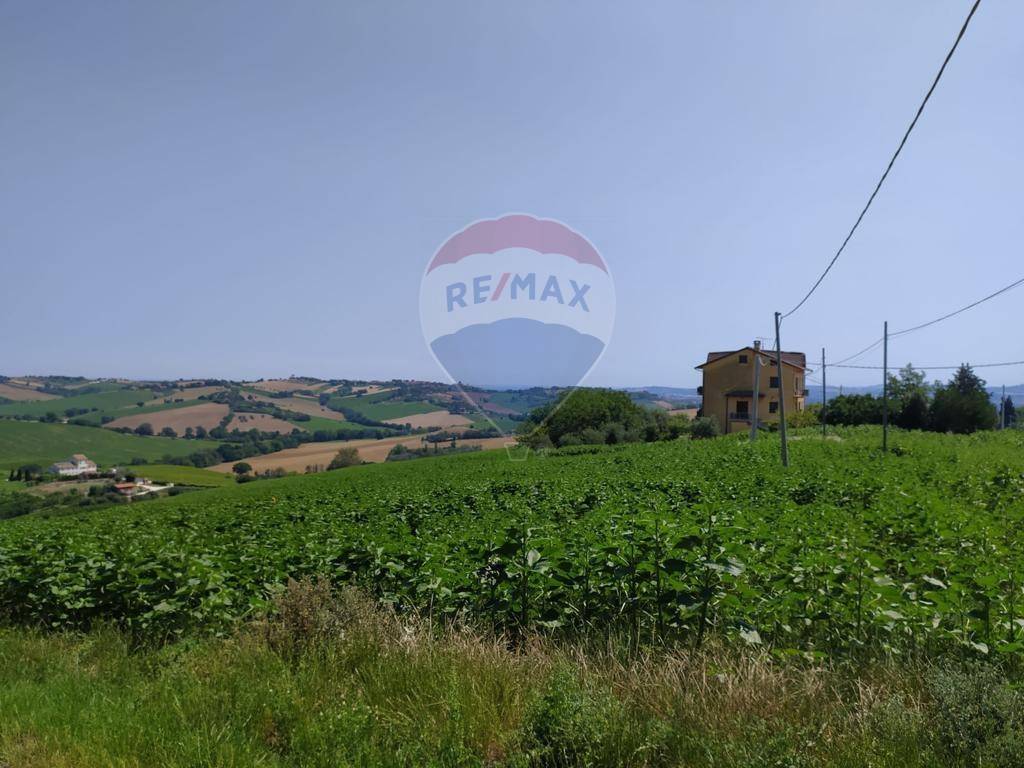 Terreno a San marcello - Foto 4