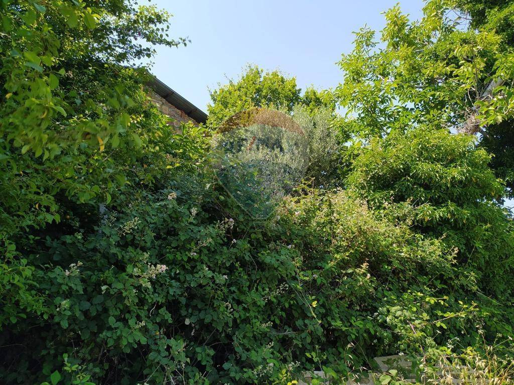 Terreno a San marcello - Foto 5