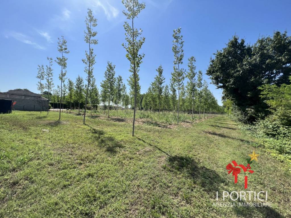 Rustico / casale a Massanzago in Via Padovane - Foto 2