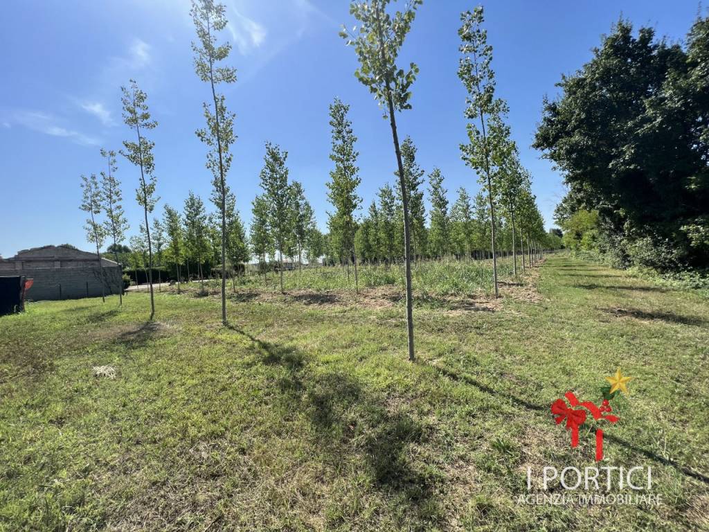 Rustico / casale a Massanzago in Via Padovane - Foto 3