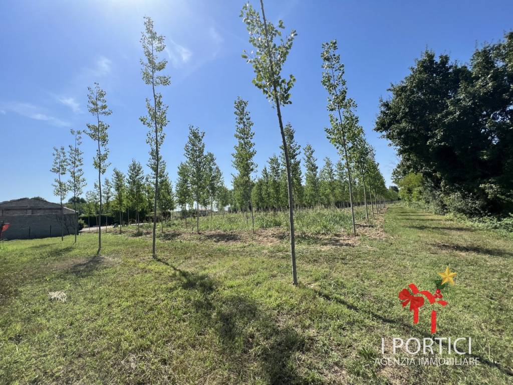 Rustico / casale a Massanzago in Via Padovane - Foto 4