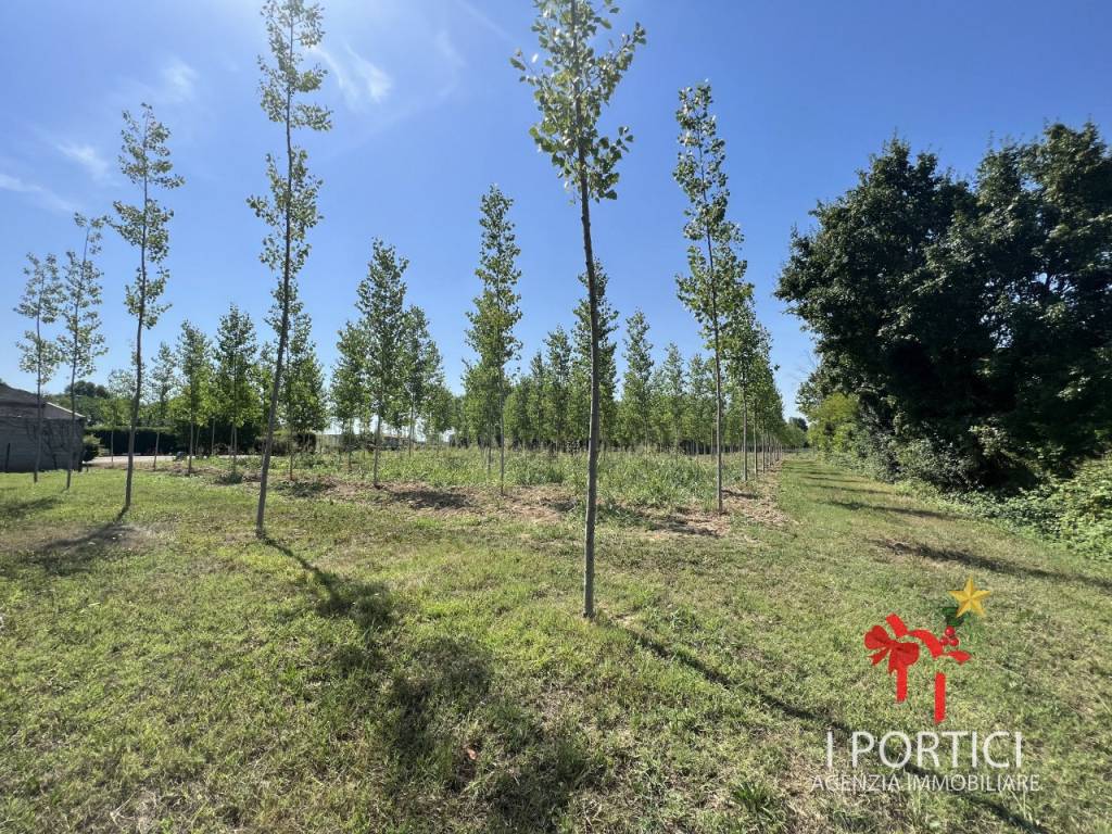 Rustico / casale a Massanzago in Via Padovane - Foto 5