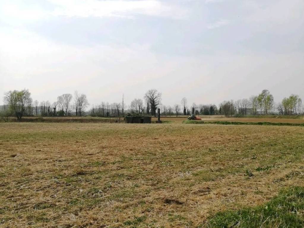 Terreno a Cumignano sul naviglio in Cumignano Sul Naviglio S.N.C. - Foto 3