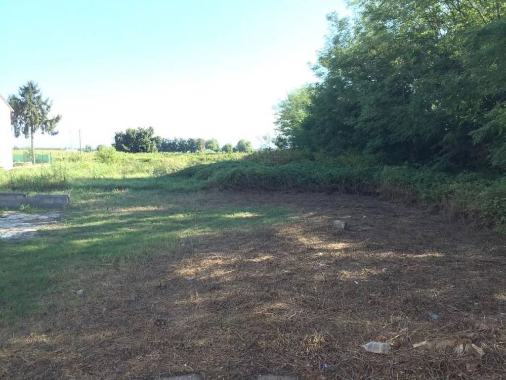 Terreno a Casalbuttano ed uniti in Via Roma S.N.C. - Foto 4
