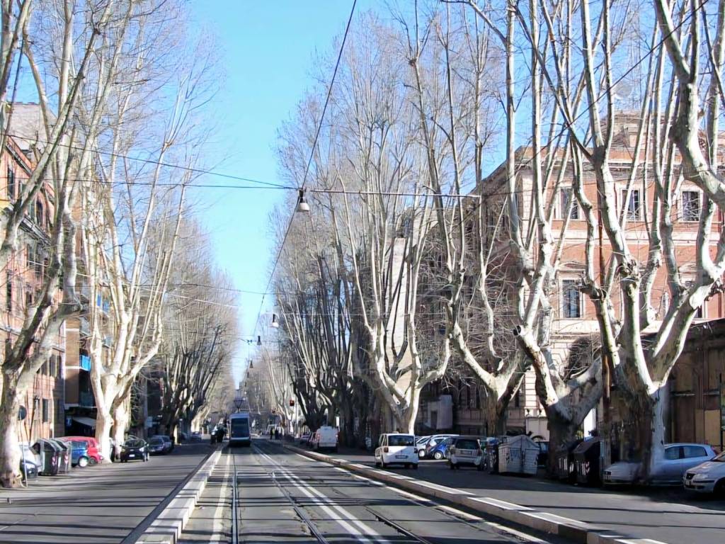 Immobile a Roma in Piazza Ippolito Nievo - Foto 2