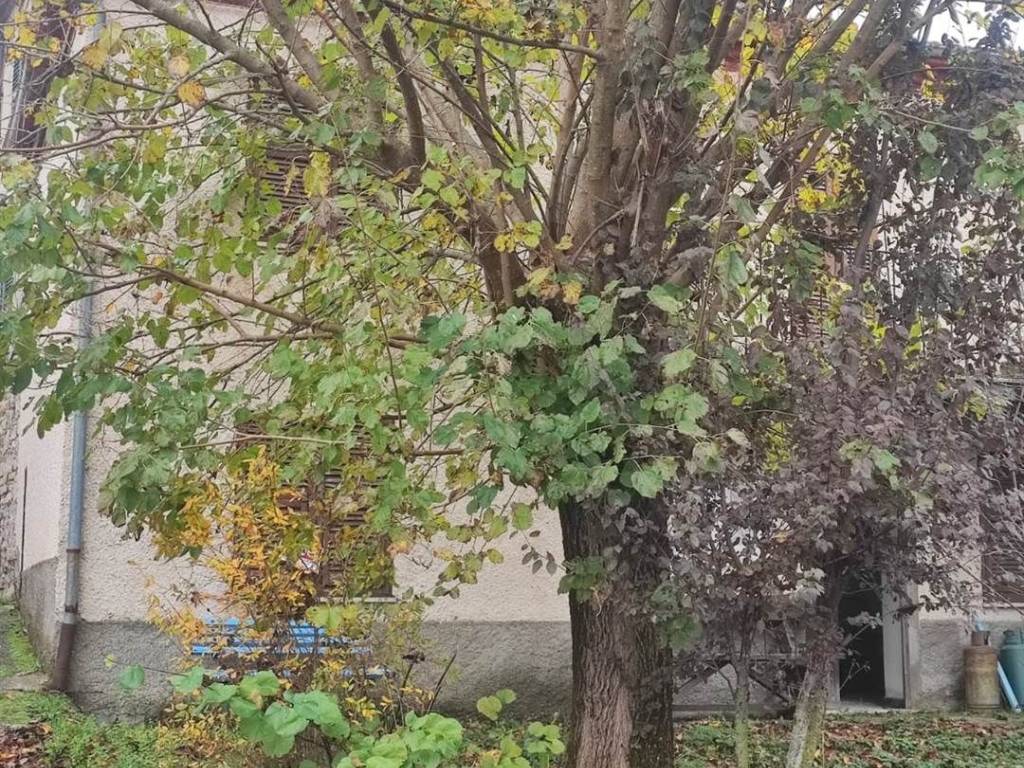 Casa indipendente a Cantalupo ligure - Foto 3