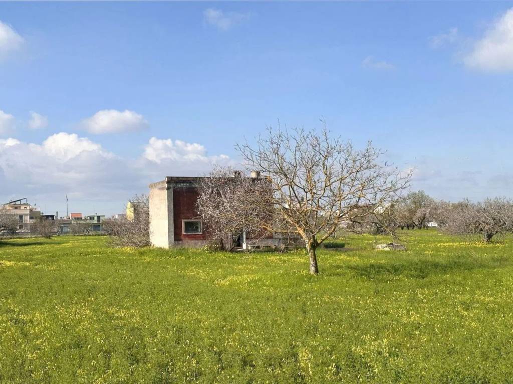 Rustico / casale a San vito dei normanni - Foto 3