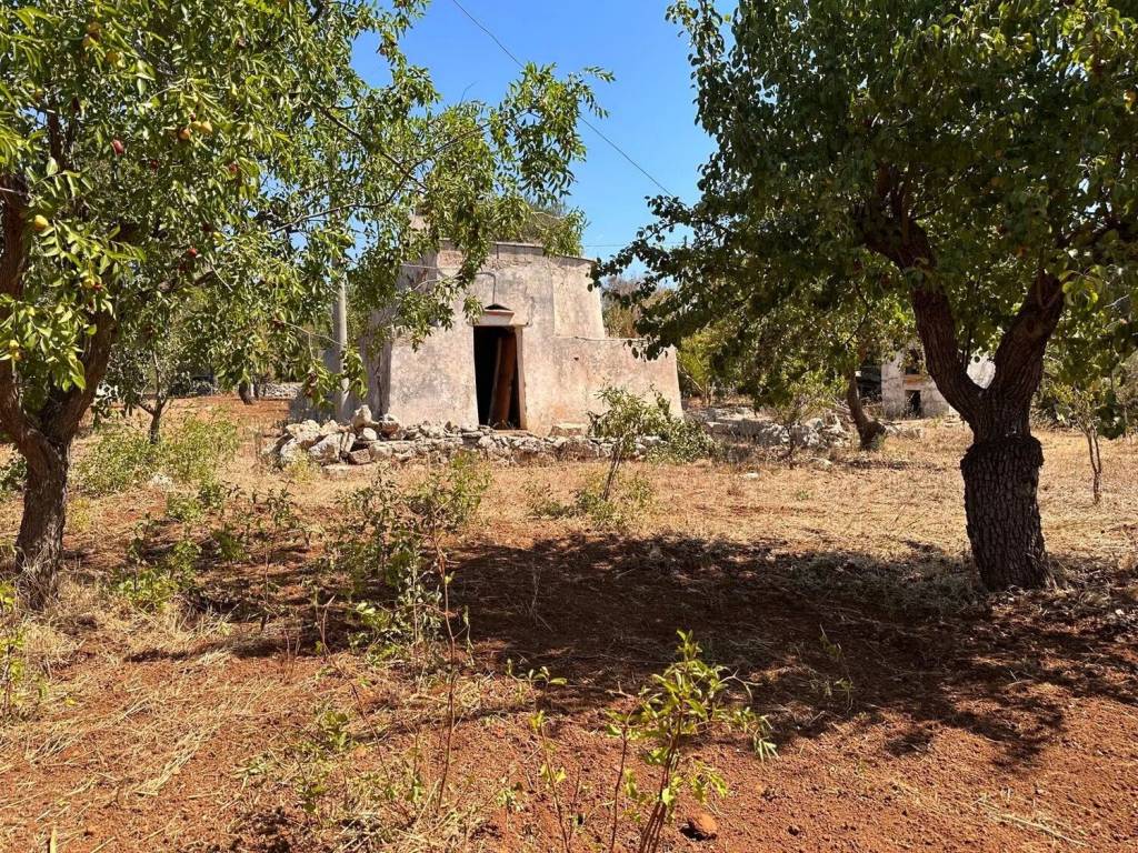 Rustico / casale a Carovigno - Foto 3