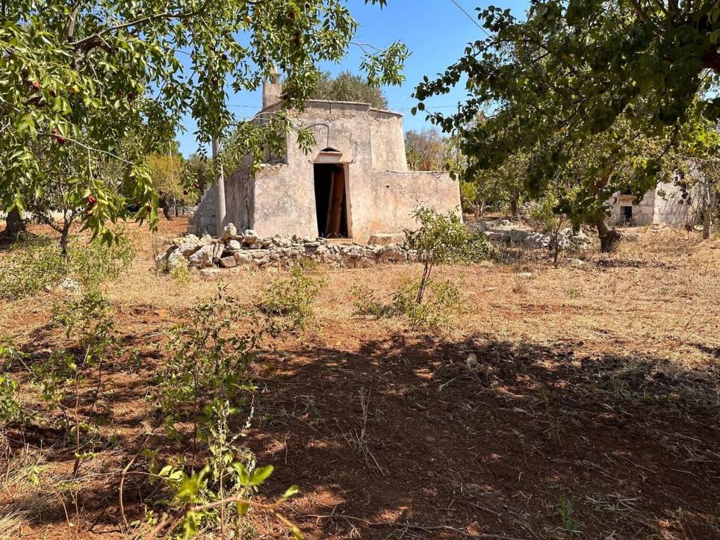 Rustico / casale a Carovigno - Foto 5
