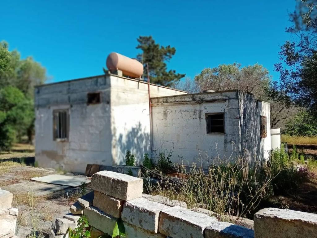 Rustico / casale a Carovigno - Foto 2