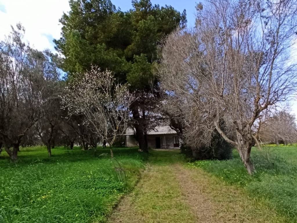 Villa a Francavilla fontana in Contrada Canale - Foto 4