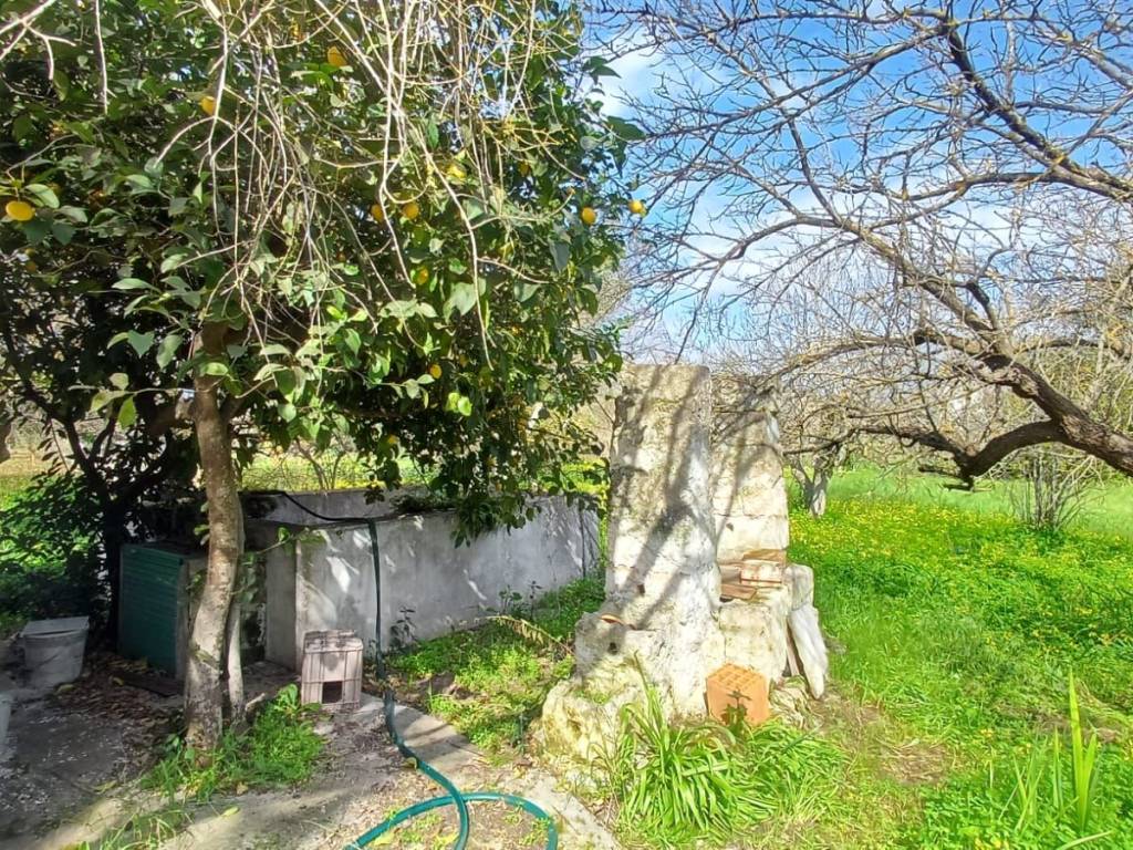 Villa a Francavilla fontana in Contrada Canale - Foto 5