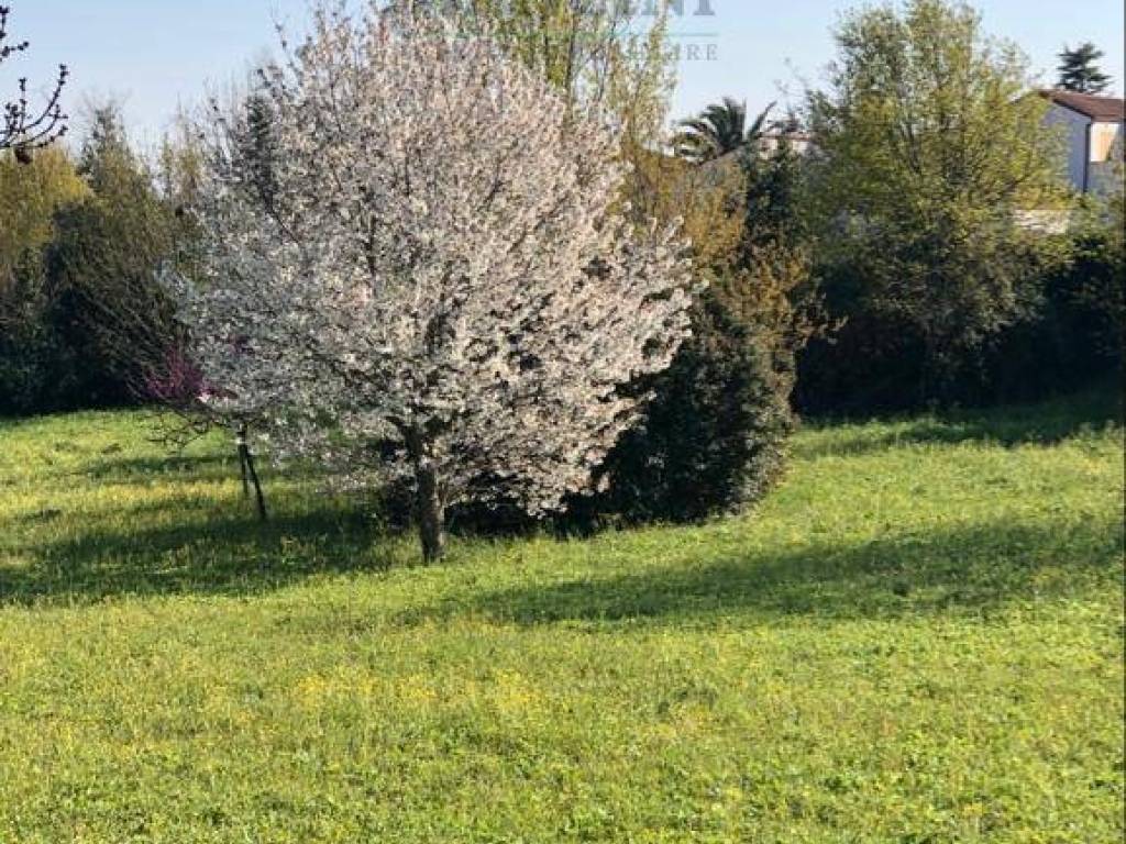 Immobile a Jesi in VIALE DON MINZONI, 50 - Foto 3