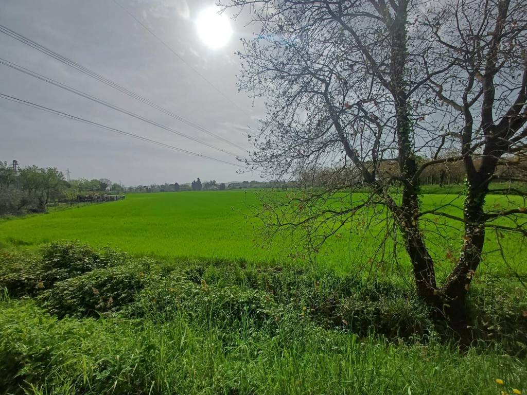 Terreno a Monte san vito - Foto 3