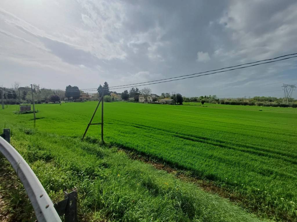 Terreno a Monte san vito - Foto 4