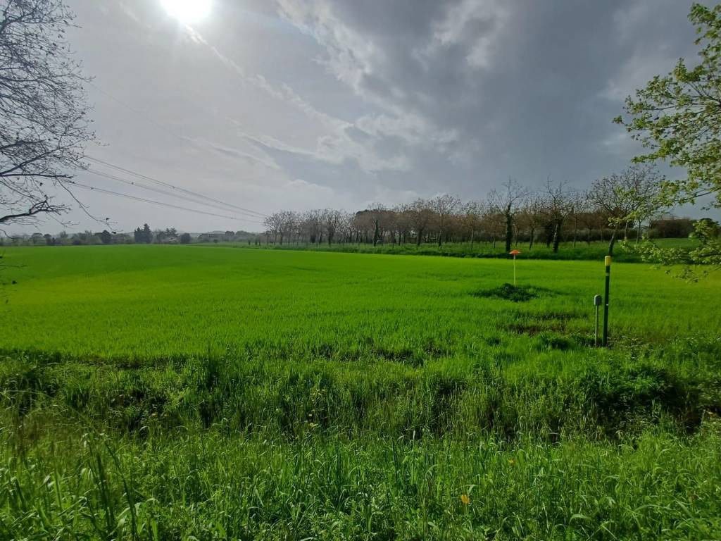 Terreno a Monte san vito - Foto 5