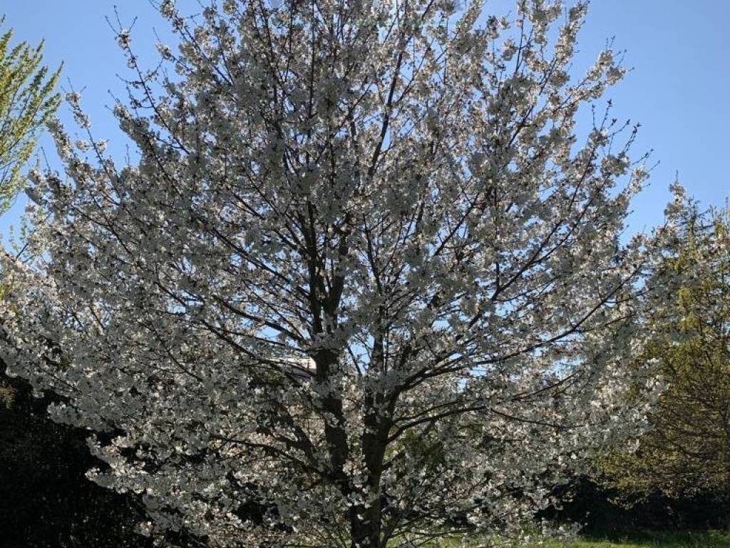Terreno a Jesi in MONTE NERONE, 10 - Foto 3
