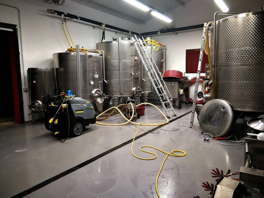 Terreno a Scansano - Foto 4