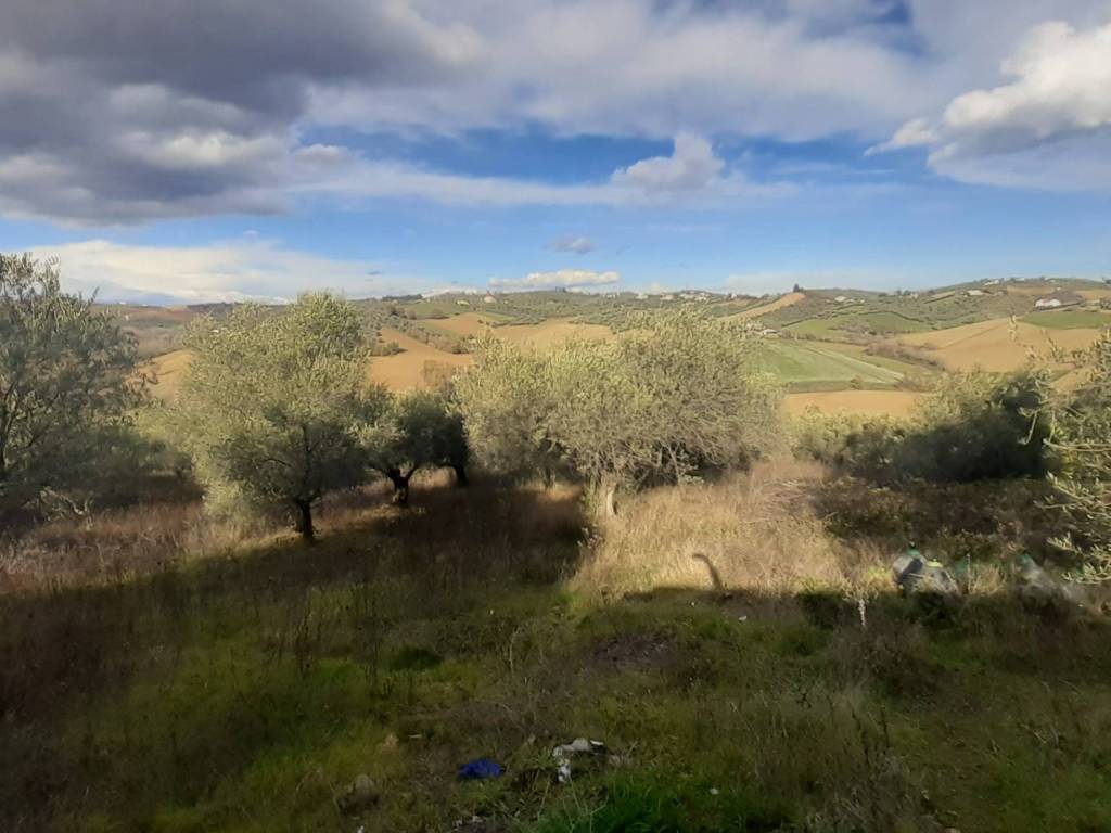 Terreno a Loreto aprutino in Contrada Bufarale - Foto 5