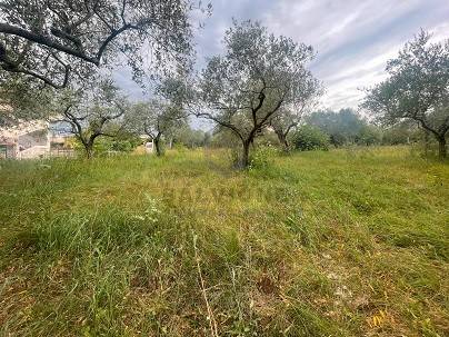 Terreno a San salvatore telesino - Foto 2