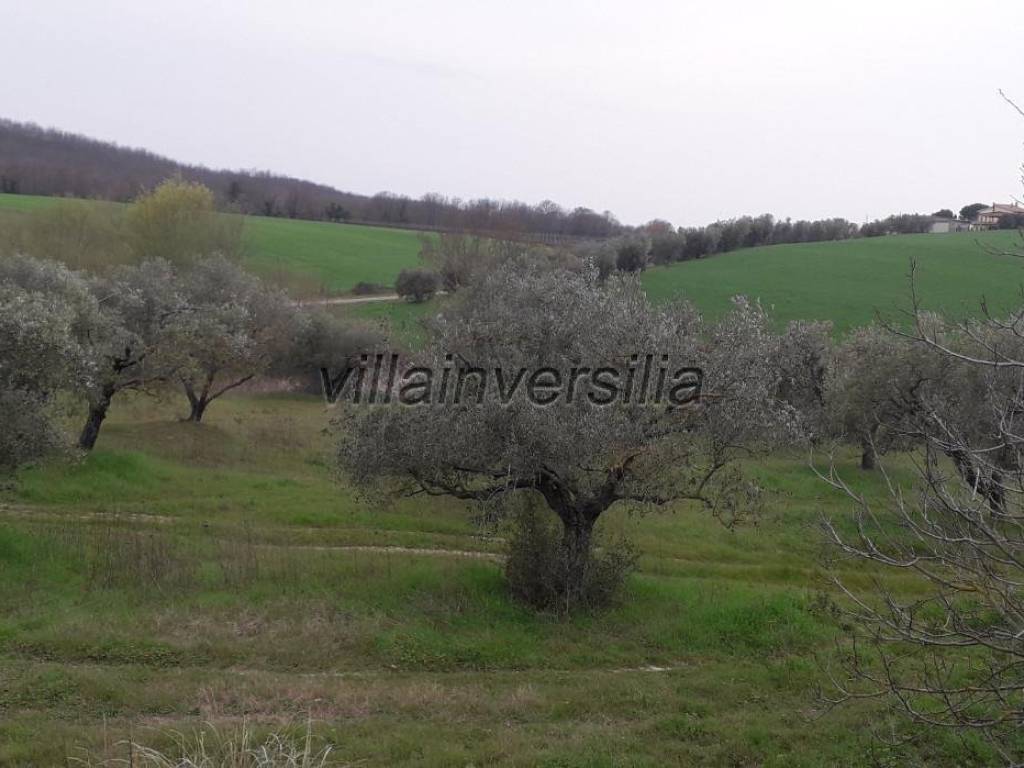 Rustico / casale a Manciano - Foto 3