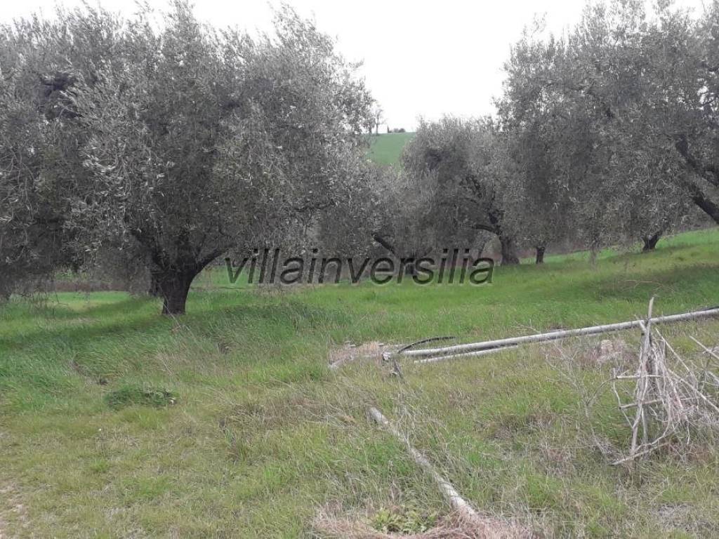 Rustico / casale a Manciano - Foto 4