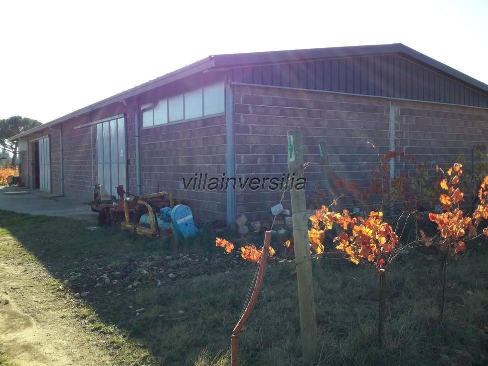 Terreno a Castiglione del lago - Foto 4