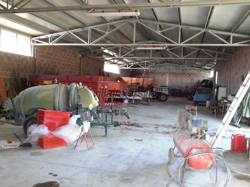 Terreno a Castiglione del lago - Foto 5