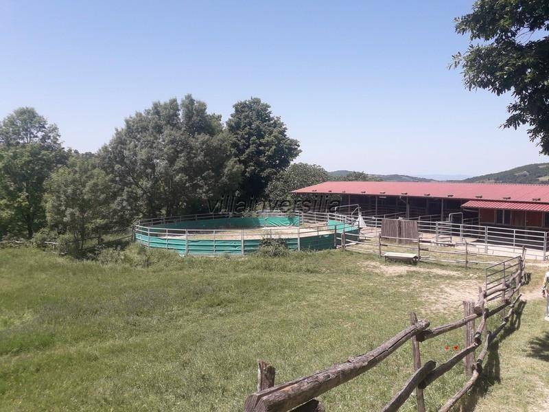 Terreno a Roccalbegna - Foto 3