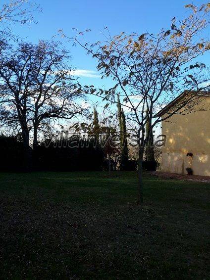 Rustico / casale a Asciano - Foto 5