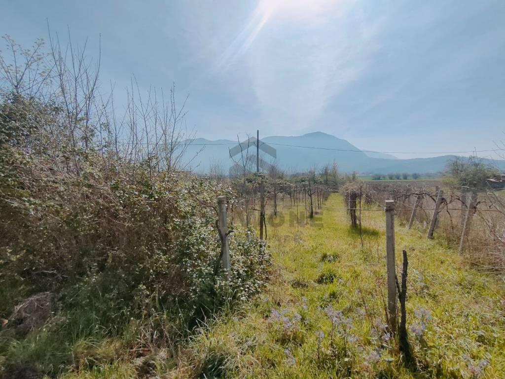 Terreno a Telese terme - Foto 4