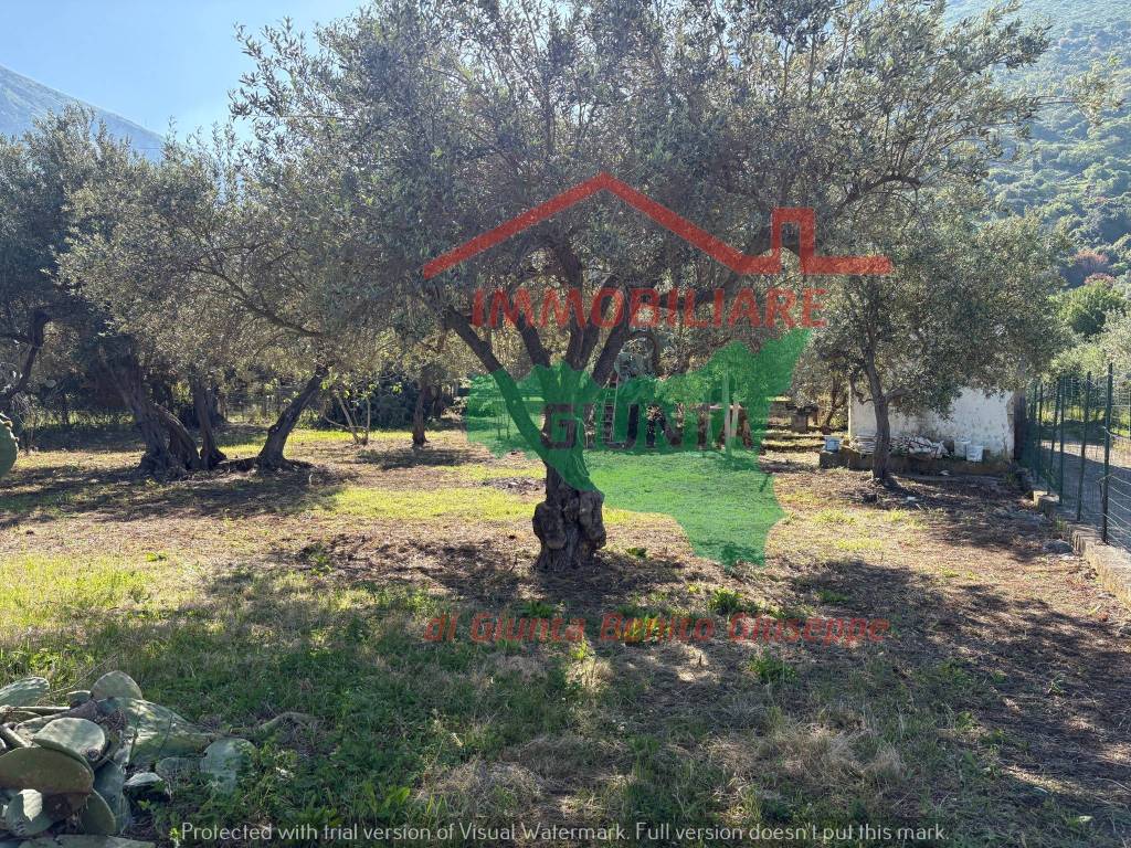 Rustico / casale a Cinisi in Contrada Cipollazzo - Foto 2