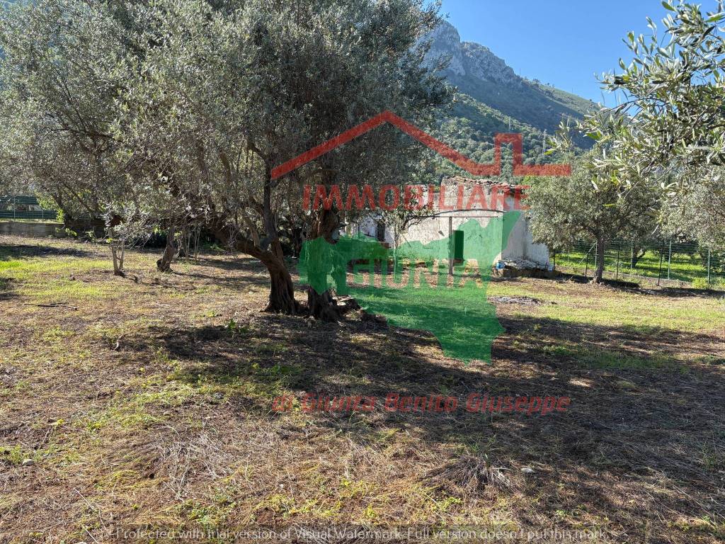 Rustico / casale a Cinisi in Contrada Cipollazzo - Foto 4