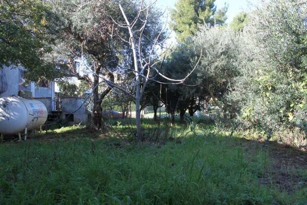 Terreno a Diamante in Corso Vittorio Emanuele - Foto 2