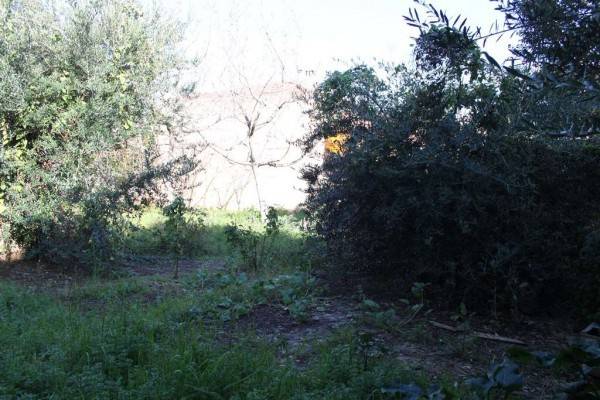Terreno a Diamante in Corso Vittorio Emanuele - Foto 3