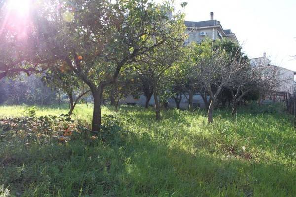 Terreno a Diamante in Corso Vittorio Emanuele - Foto 5