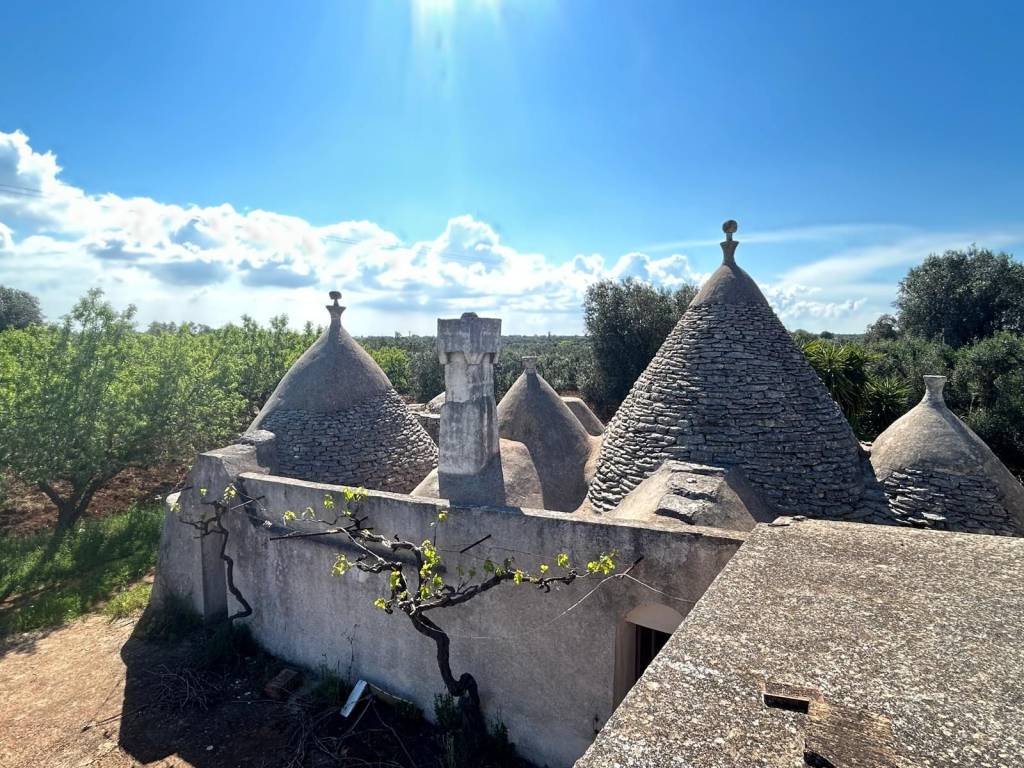 Rustico / casale a Ceglie messapica - Foto 2