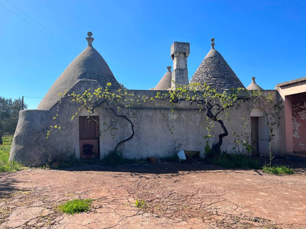 Rustico / casale a Ceglie messapica - Foto 3