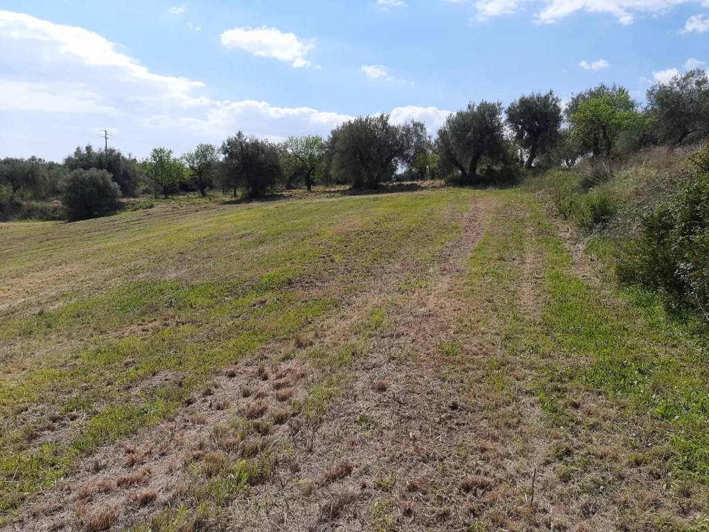 Terreno a Noto in Contrada Gioi Zisola - Foto 2