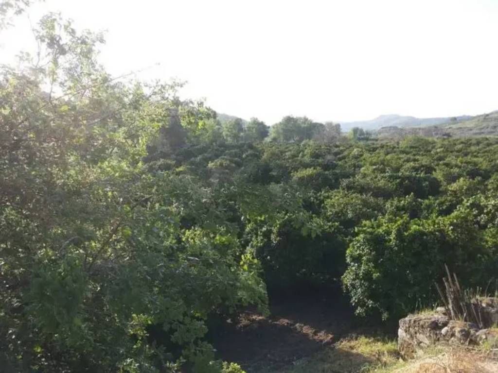 Rustico / casale a Stilo in contrada tagliaferro - Foto 2