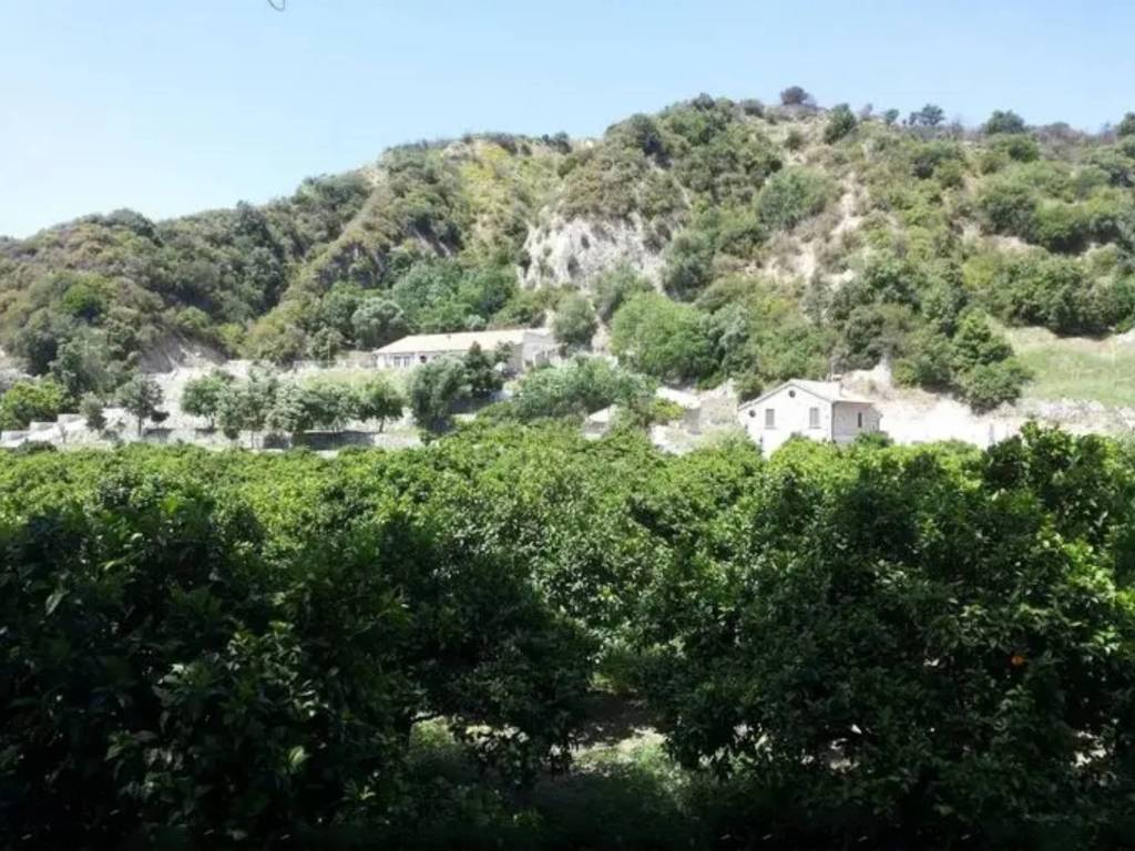 Rustico / casale a Stilo in contrada tagliaferro - Foto 5