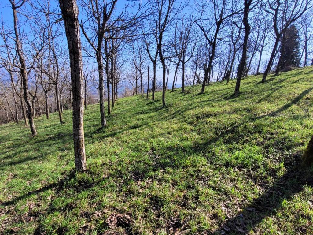 Villa a Ovada in Strada Sant'Evasio - Foto 3