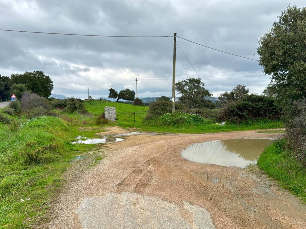 Terreno a Tempio pausania - Foto 2