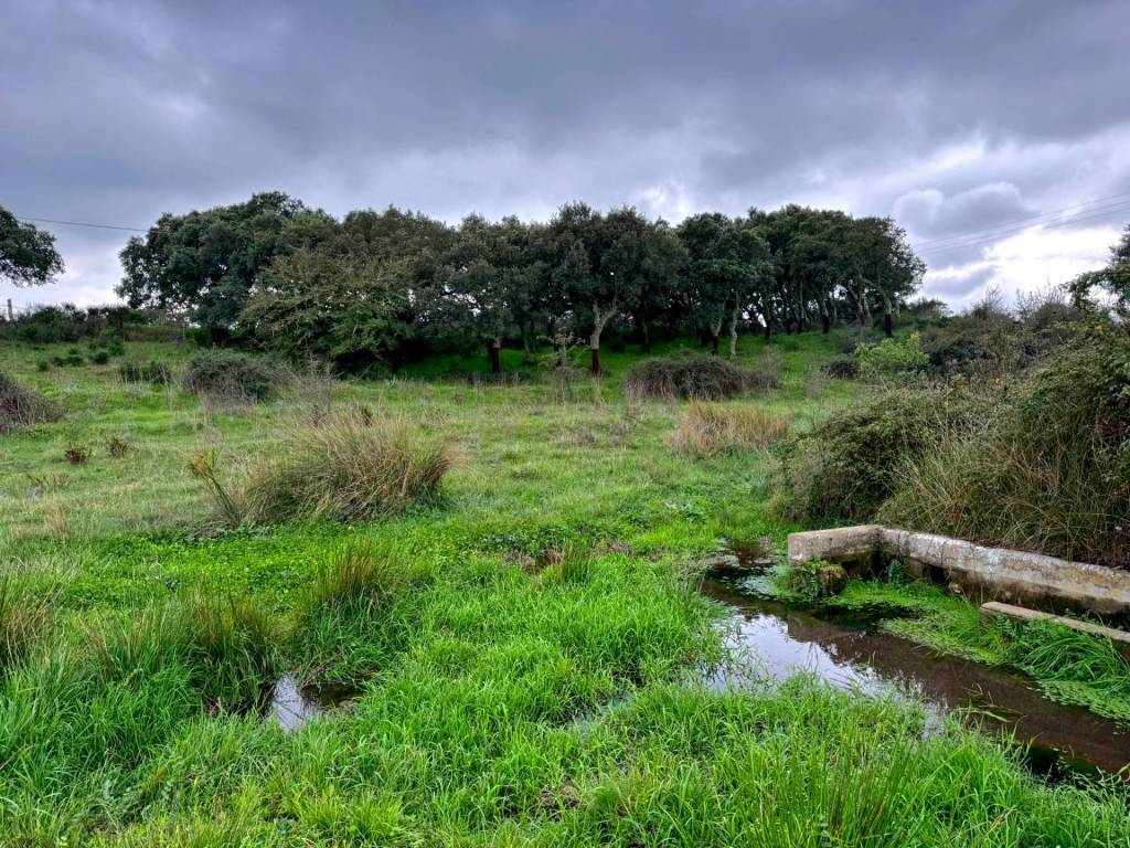 Terreno a Tempio pausania - Foto 5